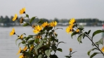 smIMG_1344