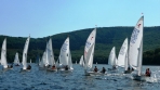 piraten