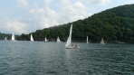 image005
