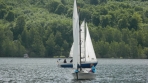 DSCN5533