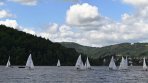 DSC_3384-1